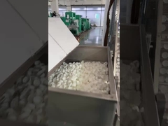 Máquina de impresión offset de tapa de botella de HDPE/PP de alta velocidad